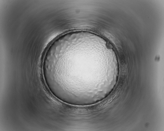 X0000097981071200804071119