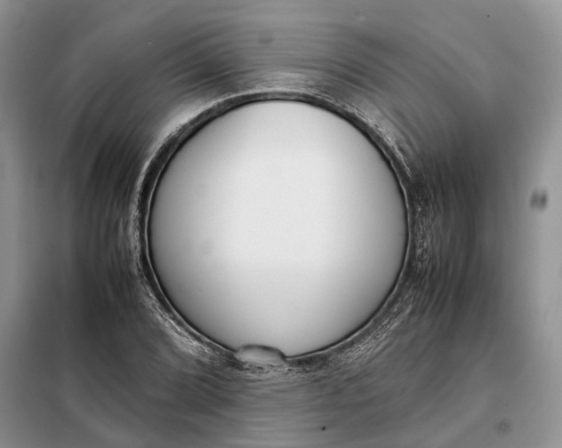 X0000097981072200804071119