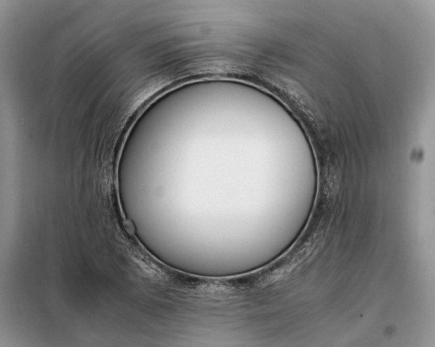 X0000097981073200804071119