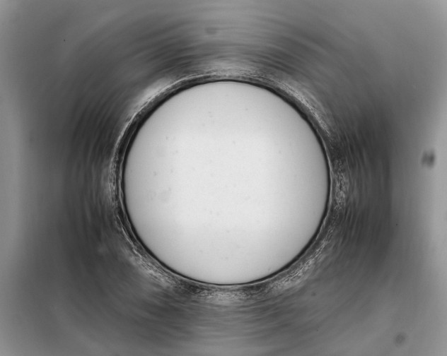 X0000097981074200804071119