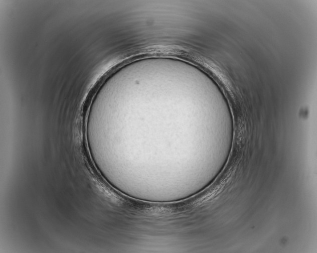 X0000097981075200804071119