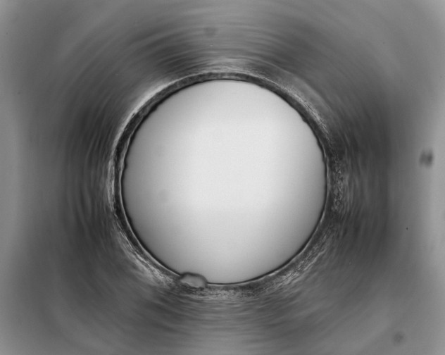 X0000097981076200804071119