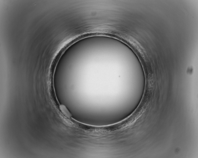 X0000097981077200804071119