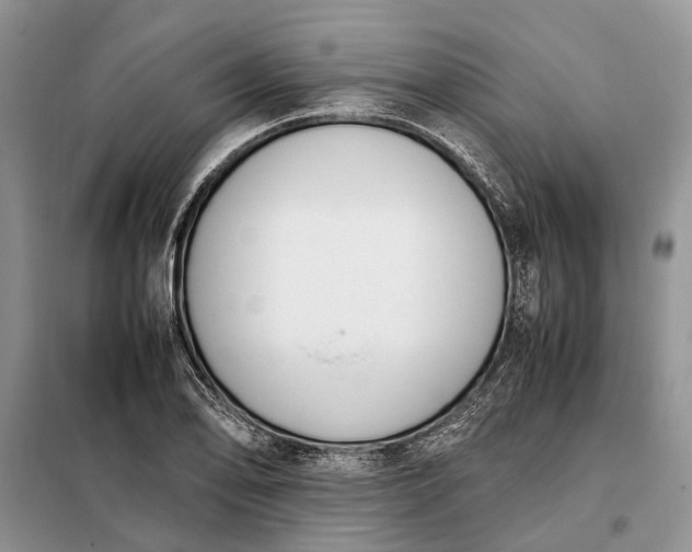 X0000097981078200804071119