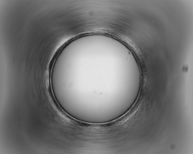 X0000097981079200804071118