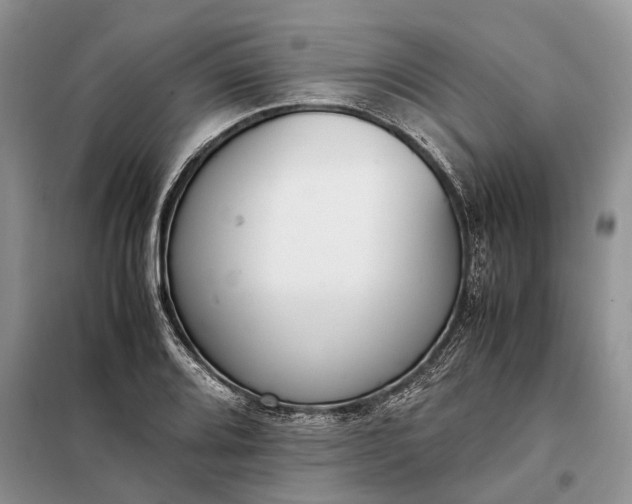 X0000097981080200804071118