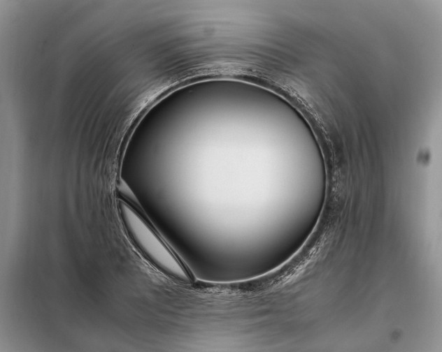 X0000097981081200804071118