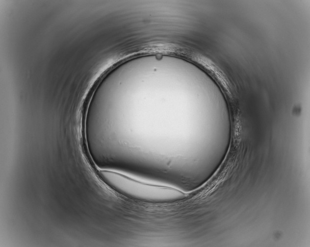 X0000097981083200804071118