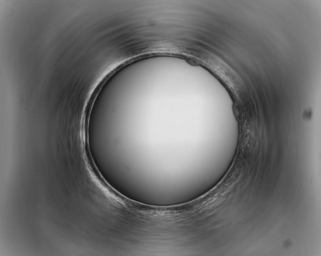 X0000097981084200804071118