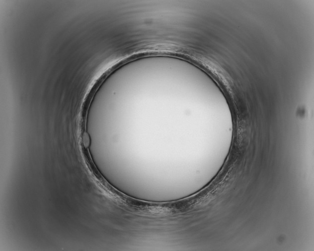 X0000097981085200804071118