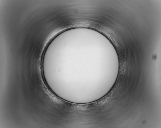 X0000097981086200804071118