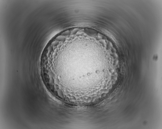 X0000097981087200804071118