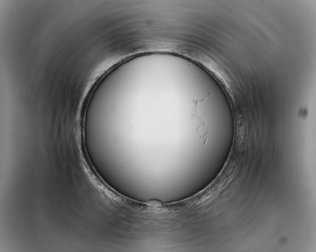 X0000097981088200804071118