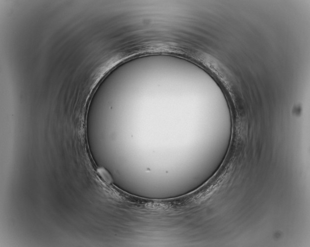 X0000097981089200804071118