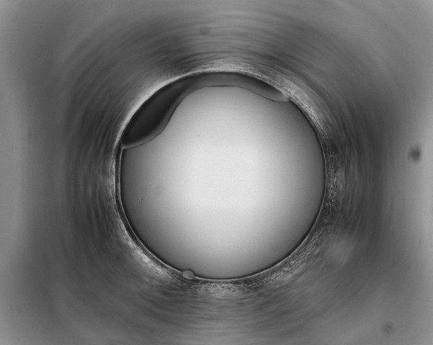 X0000097981092200804071118