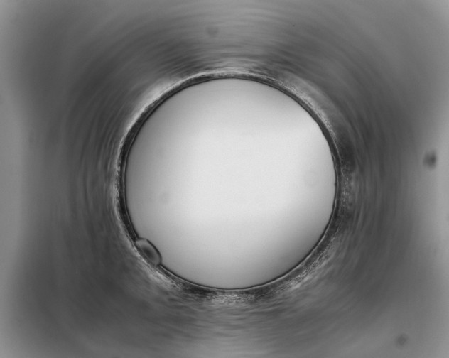 X0000097981093200804071118