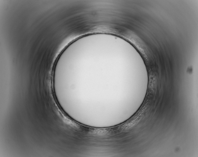 X0000097981094200804071118