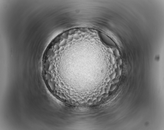 X0000097981095200804071118