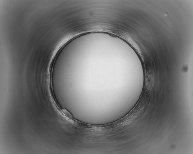 X0000097981096200804071118