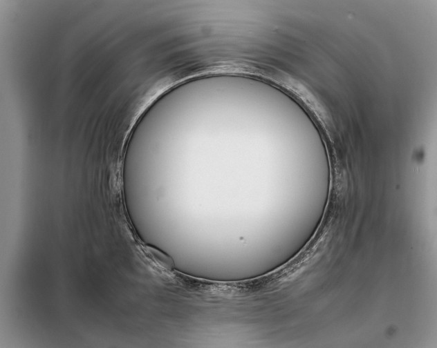 X0000097981097200804071118