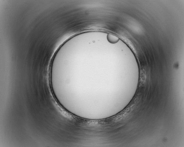 X0000097981098200804071118