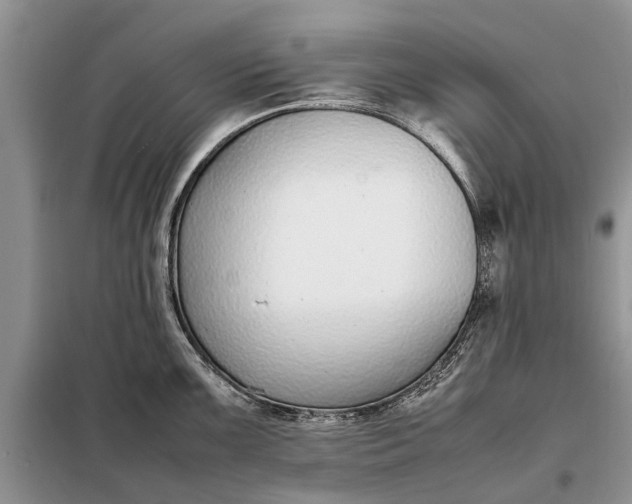 X0000097981099200804071118