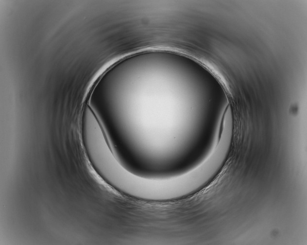 X0000097981100200804071118