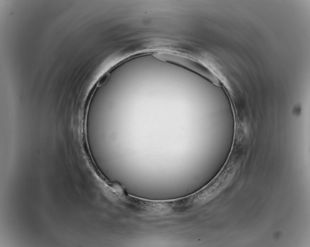 X0000097981101200804071118