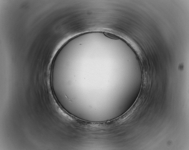 X0000097981102200804071118