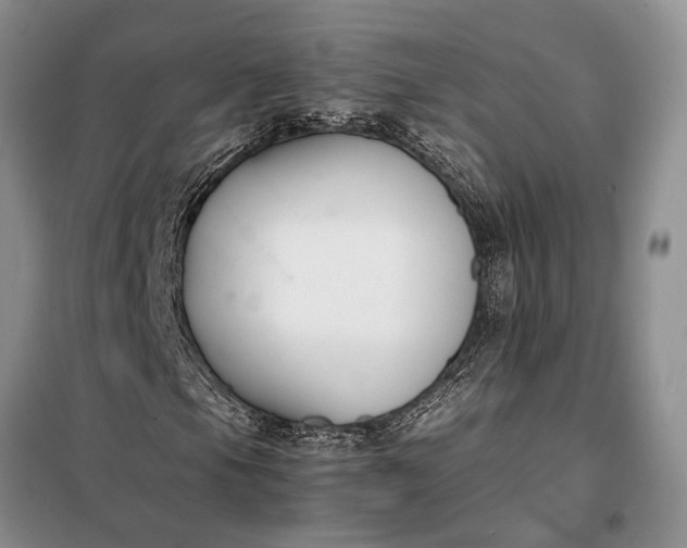 X0000097981105200804071117
