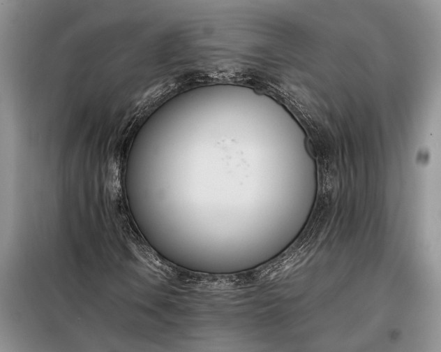 X0000097981106200804071117