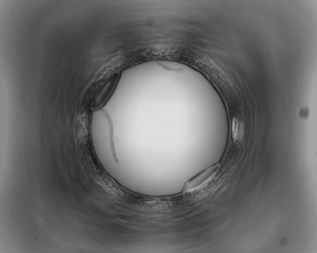 X0000097981107200804071117