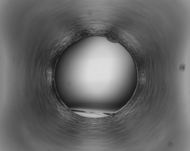 X0000097981108200804071117