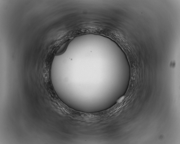 X0000097981109200804071117