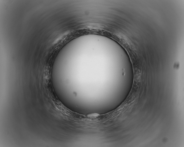 X0000097981110200804071117
