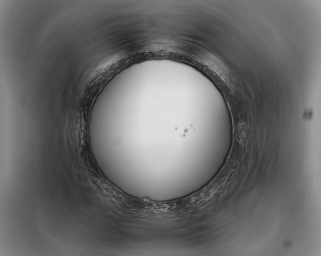 X0000097981111200804071117