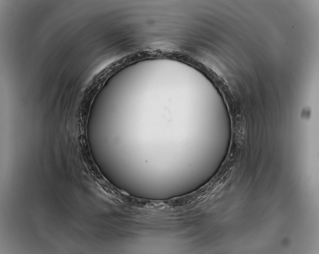 X0000097981112200804071117
