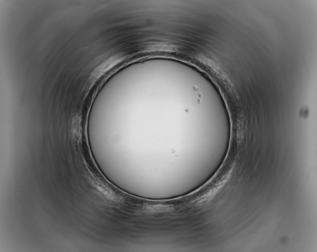 X0000097981113200804071117