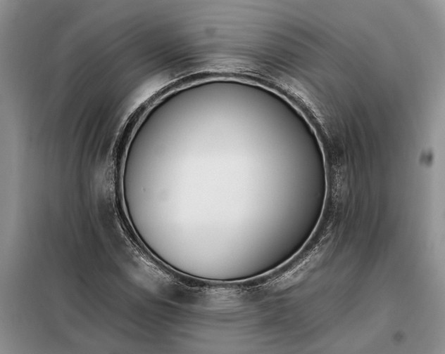 X0000097981114200804071117