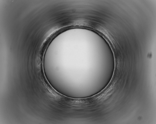 X0000097981115200804071117