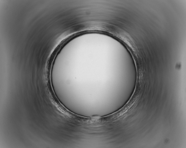 X0000097981116200804071117
