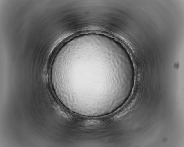 X0000097981117200804071117