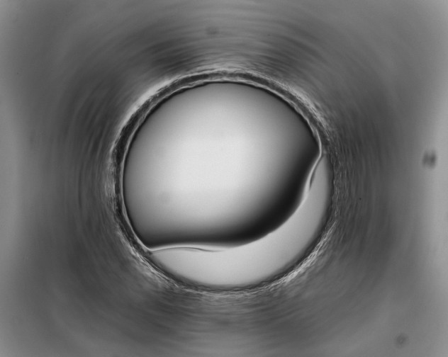 X0000097981118200804071117