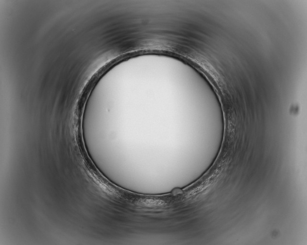 X0000097981119200804071117