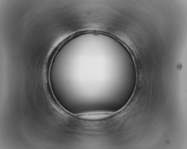 X0000097981120200804071117