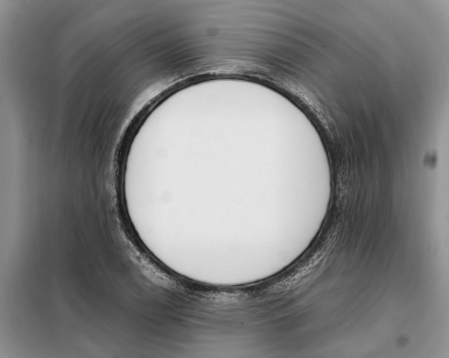 X0000097981122200804071117