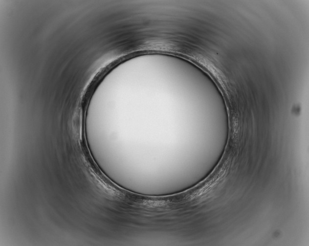 X0000097981123200804071117
