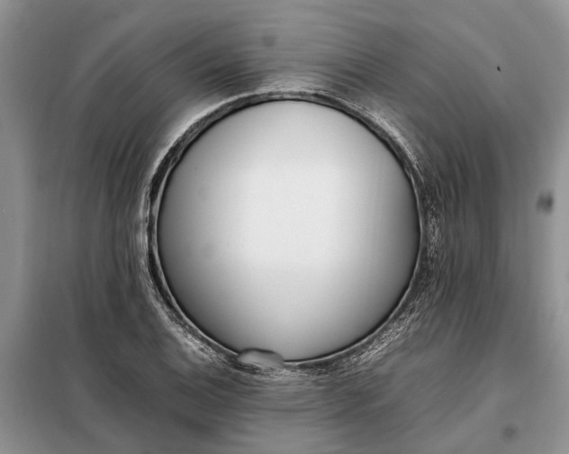 X0000097981124200804071117