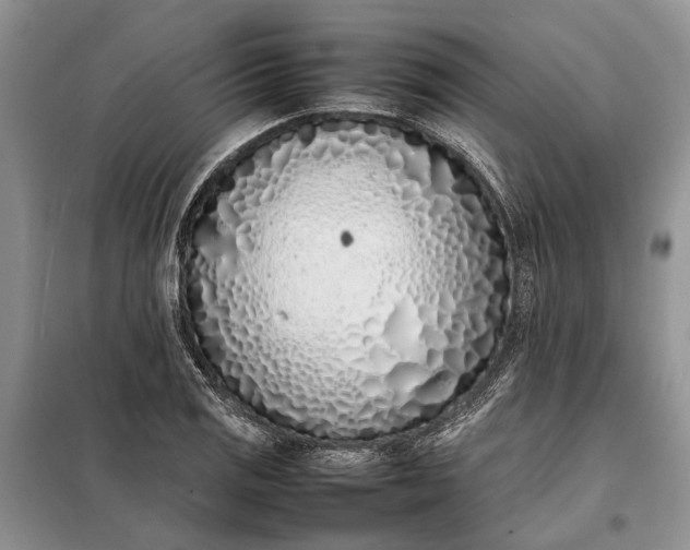 X0000097981125200804071117