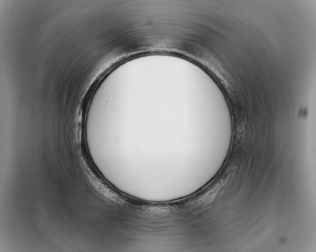X0000097981126200804071117